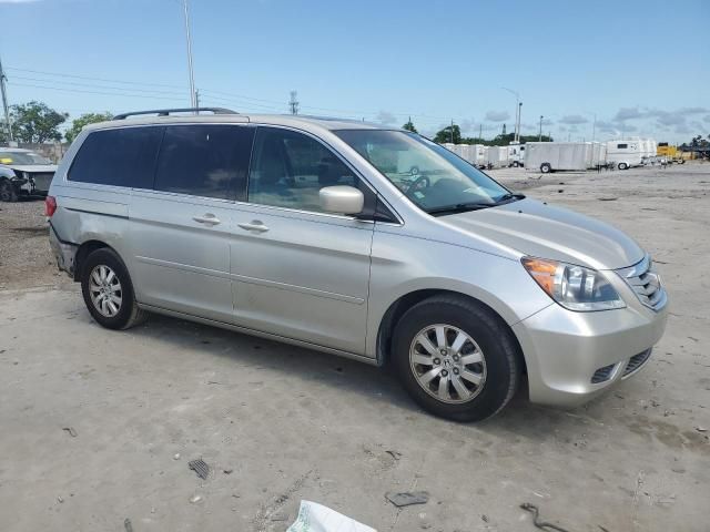 2008 Honda Odyssey EXL