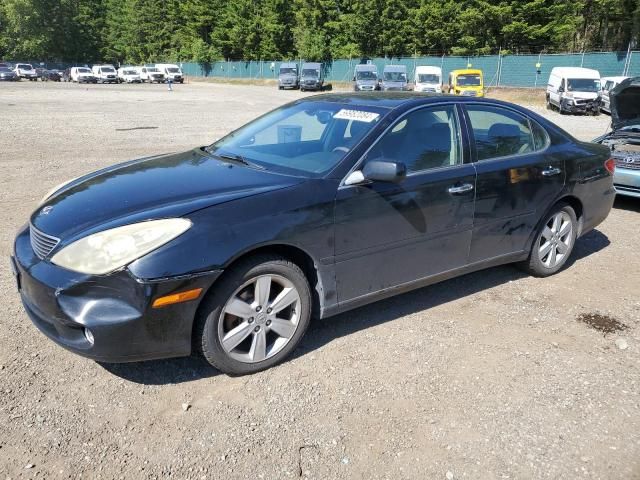 2005 Lexus ES 330