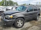 2005 Ford Escape Limited