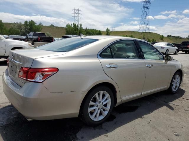 2011 Lexus ES 350