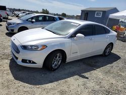 Carros salvage a la venta en subasta: 2015 Ford Fusion Titanium HEV