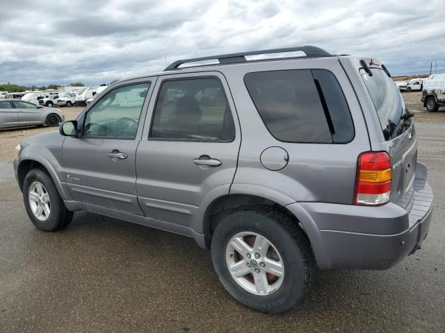 2007 Ford Escape HEV