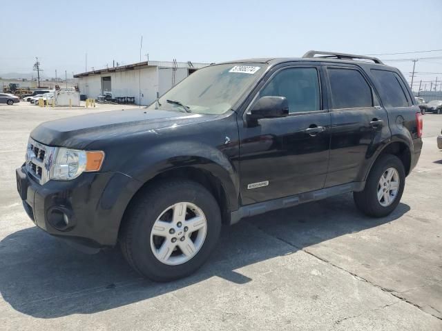 2008 Ford Escape HEV