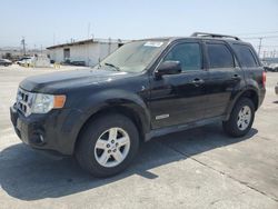 Salvage cars for sale at Sun Valley, CA auction: 2008 Ford Escape HEV