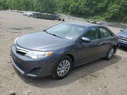 Salvage cars for sale at Marlboro, NY auction: 2014 Toyota Camry L