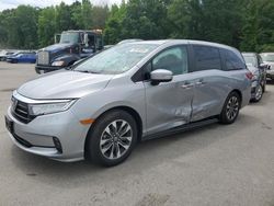 Honda Odyssey exl salvage cars for sale: 2023 Honda Odyssey EXL