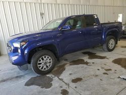 Toyota salvage cars for sale: 2024 Toyota Tacoma Double Cab