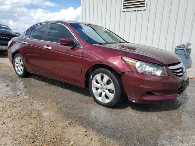 2009 Honda Accord EXL