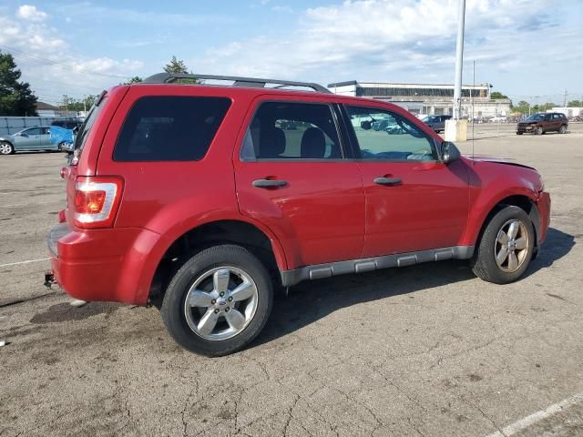 2011 Ford Escape XLT