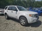 2008 Ford Escape XLT