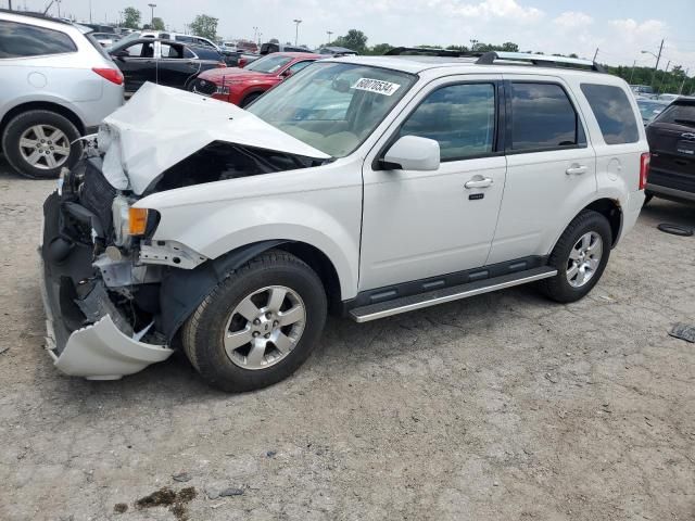 2011 Ford Escape Limited