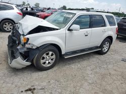 Salvage cars for sale from Copart Indianapolis, IN: 2011 Ford Escape Limited