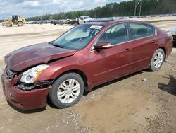 Salvage cars for sale at Greenwell Springs, LA auction: 2010 Nissan Altima Base