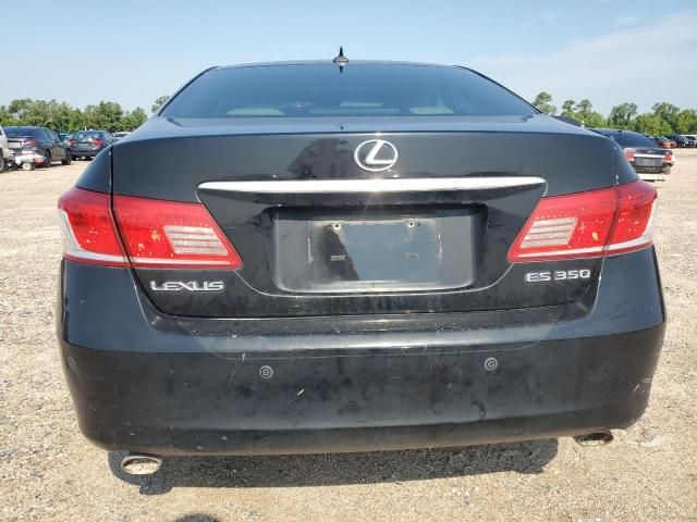 2010 Lexus ES 350