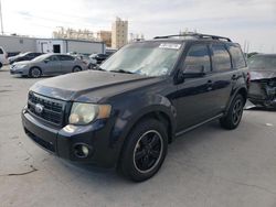 Salvage cars for sale at New Orleans, LA auction: 2012 Ford Escape XLT