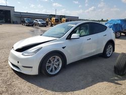 Tesla Vehiculos salvage en venta: 2021 Tesla Model Y