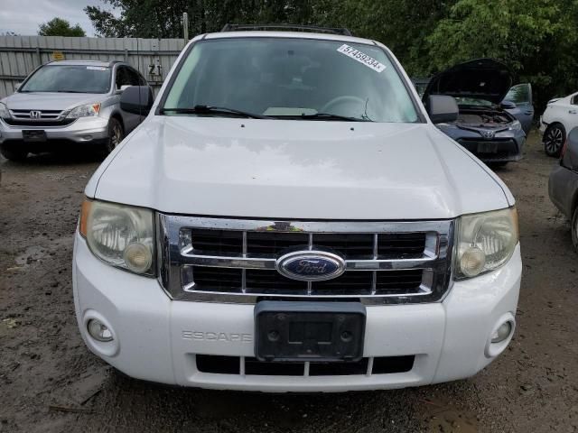 2008 Ford Escape XLT