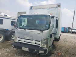 Salvage trucks for sale at Grand Prairie, TX auction: 2010 Isuzu NQR