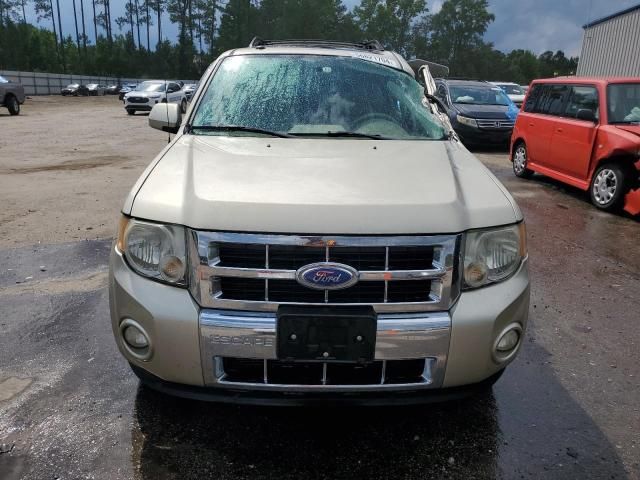 2011 Ford Escape Limited