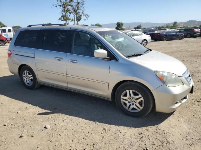 2005 Honda Odyssey EXL