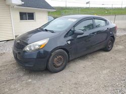 Salvage cars for sale at Northfield, OH auction: 2013 KIA Rio LX