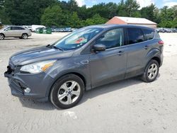 Salvage cars for sale from Copart Mendon, MA: 2014 Ford Escape SE