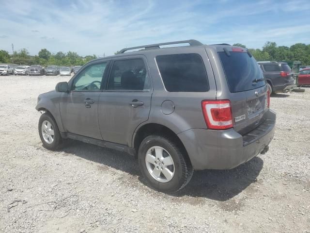 2012 Ford Escape XLT