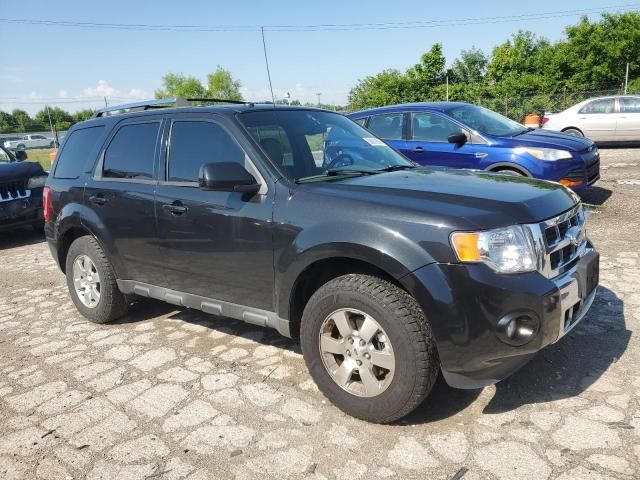 2011 Ford Escape Limited