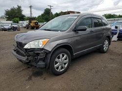 Salvage cars for sale at New Britain, CT auction: 2009 Honda CR-V EX