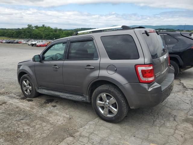 2009 Ford Escape Limited