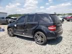 2006 Mercedes-Benz ML 350