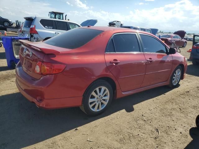 2010 Toyota Corolla Base