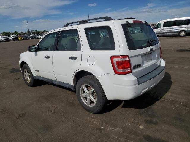 2008 Ford Escape XLS