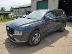 Salvage cars for sale from Copart Kincheloe, MI: 2023 Hyundai Santa FE SEL