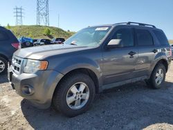 Ford Escape xlt salvage cars for sale: 2011 Ford Escape XLT