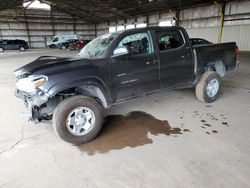 Salvage cars for sale at Phoenix, AZ auction: 2023 Toyota Tacoma Double Cab