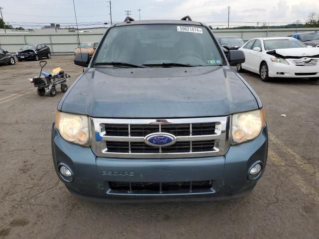 2011 Ford Escape XLT