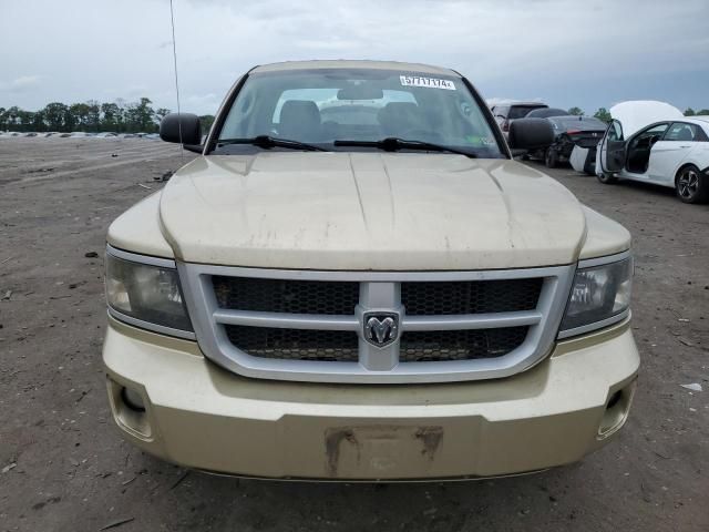 2011 Dodge Dakota SLT