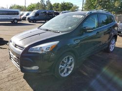 Salvage cars for sale from Copart Denver, CO: 2013 Ford Escape Titanium