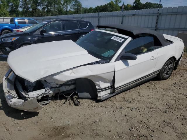 2010 Ford Mustang