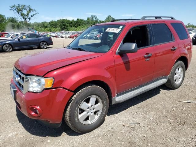 2010 Ford Escape XLT