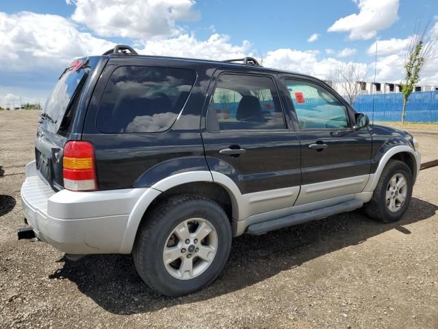 2007 Ford Escape XLT