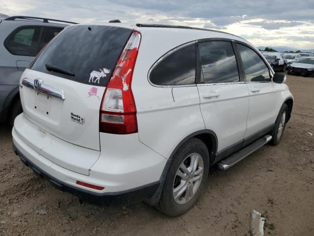 2010 Honda CR-V EXL