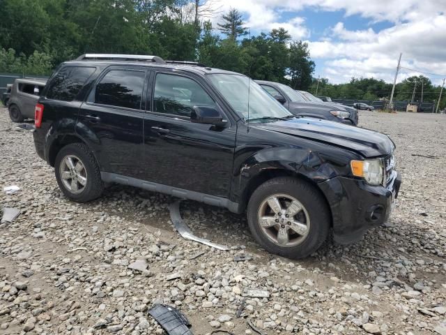 2010 Ford Escape Limited