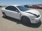 2000 Dodge Neon Base