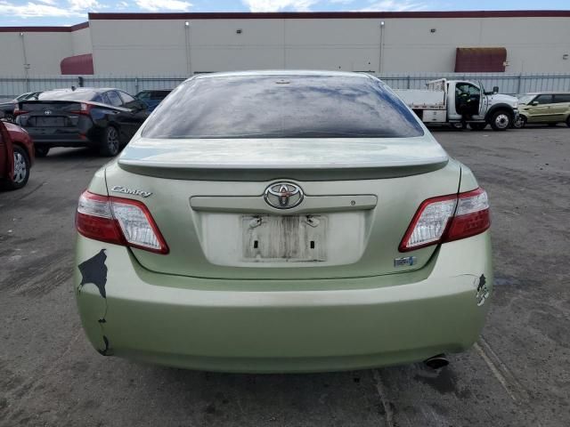 2009 Toyota Camry Hybrid