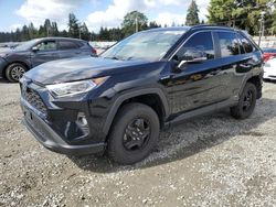 Salvage cars for sale from Copart Graham, WA: 2020 Toyota Rav4 XLE