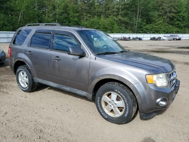 2012 Ford Escape XLT