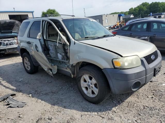 2006 Ford Escape XLT