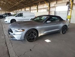 Salvage cars for sale at Phoenix, AZ auction: 2023 Ford Mustang